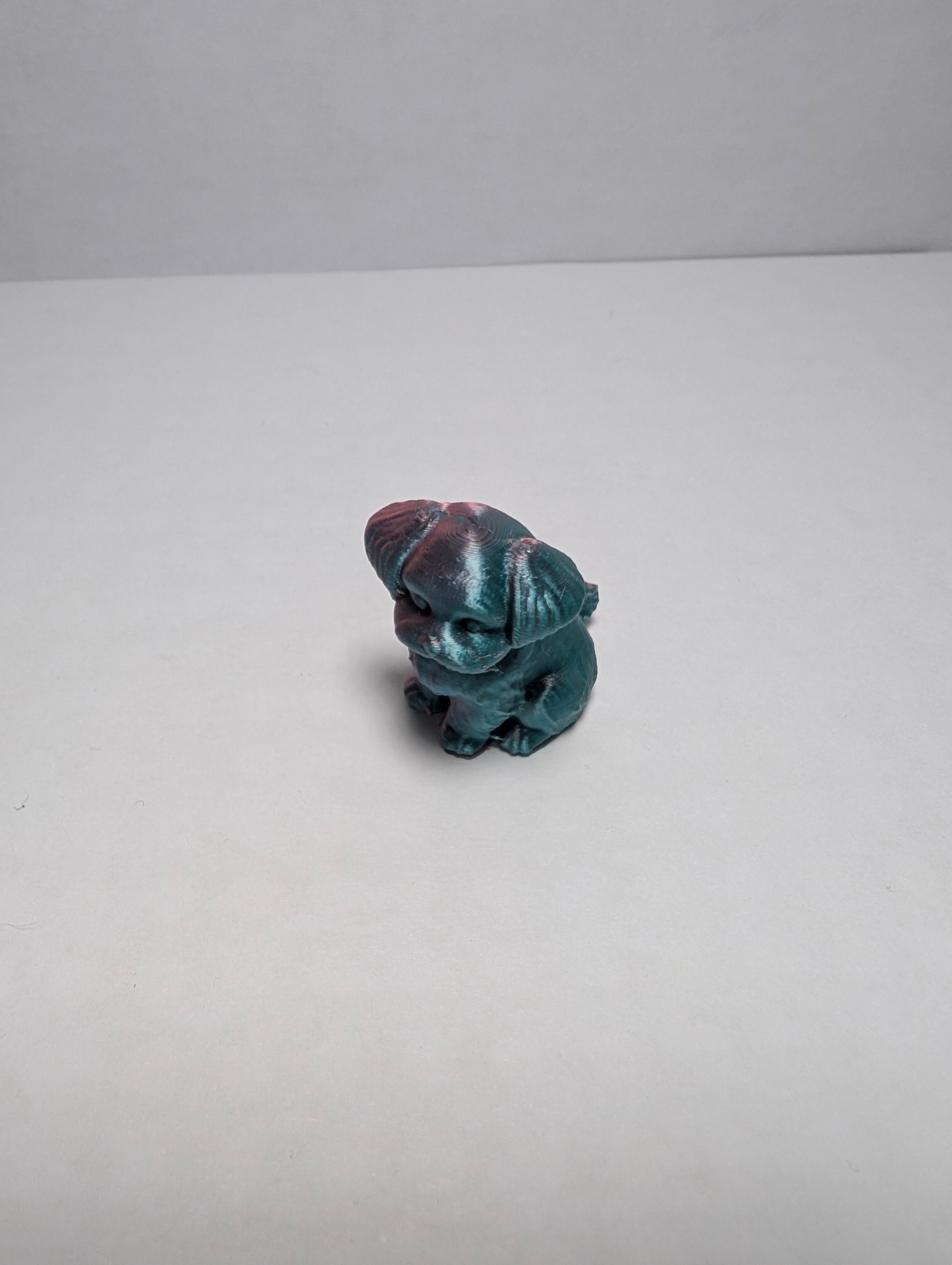 The Midnight Silk Spaniel – Your New Loyal Sidekick