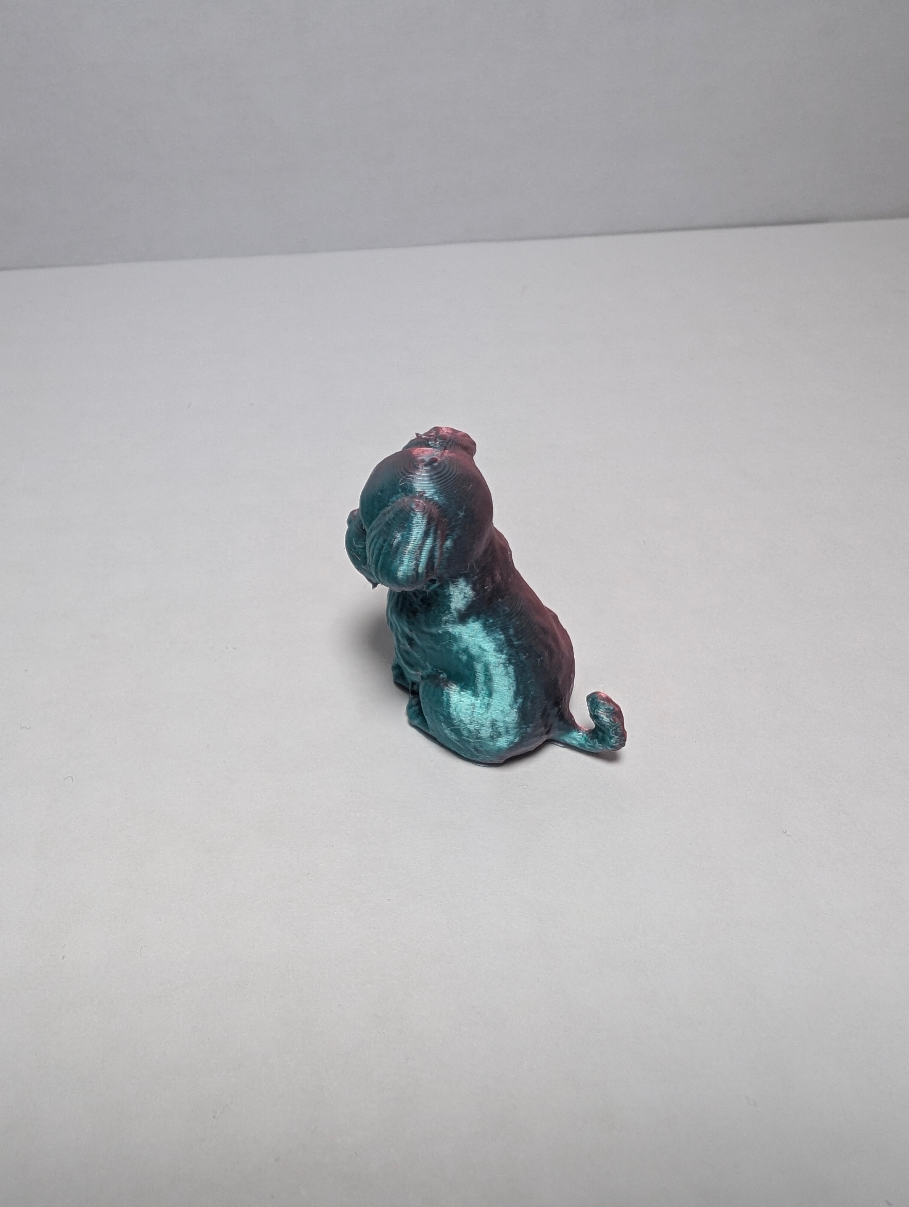 The Midnight Silk Spaniel – Your New Loyal Sidekick