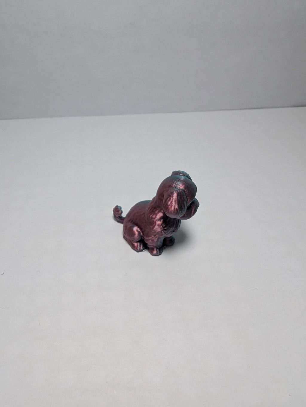 The Midnight Silk Spaniel – Your New Loyal Sidekick