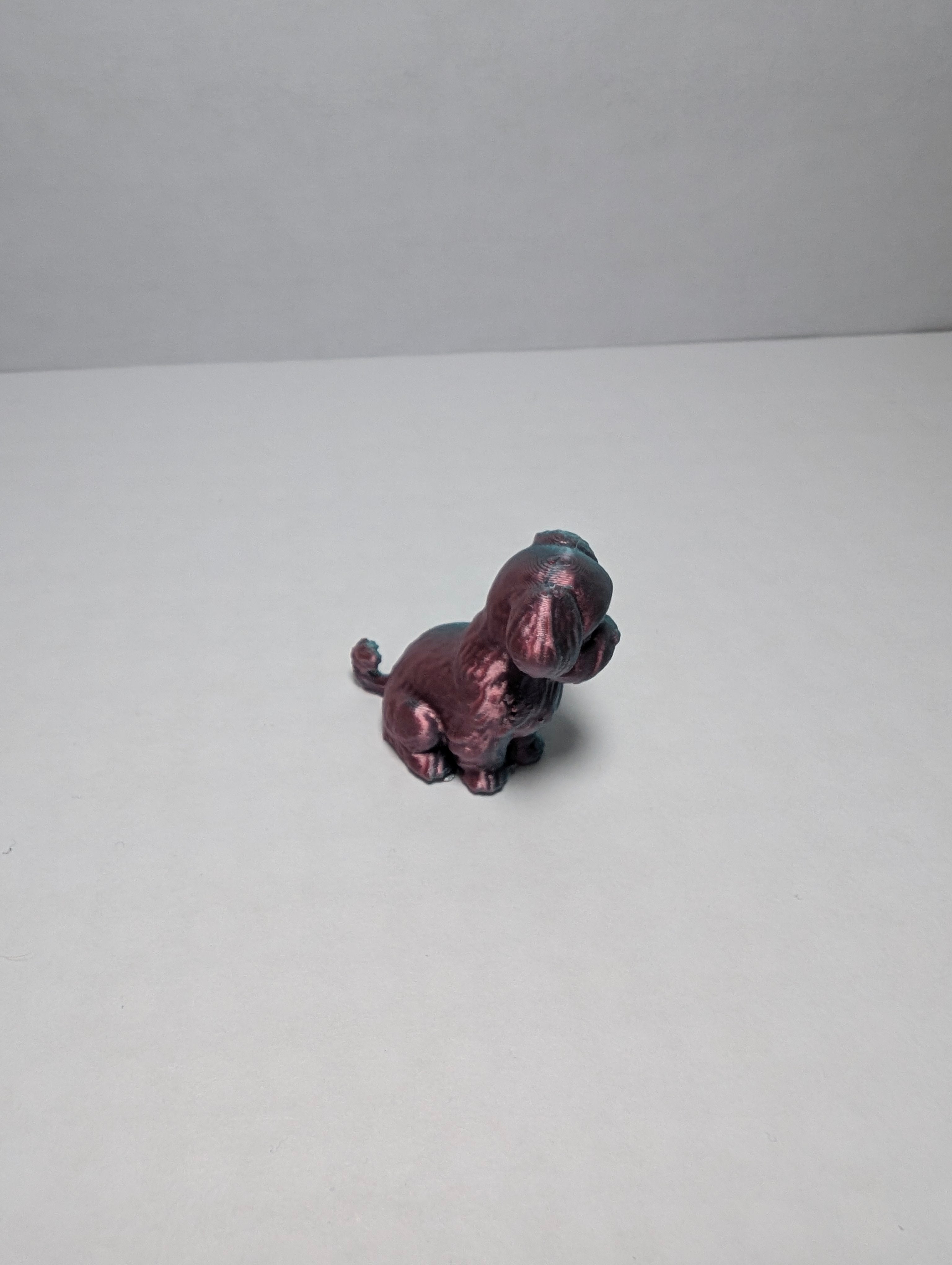 The Midnight Silk Spaniel – Your New Loyal Sidekick