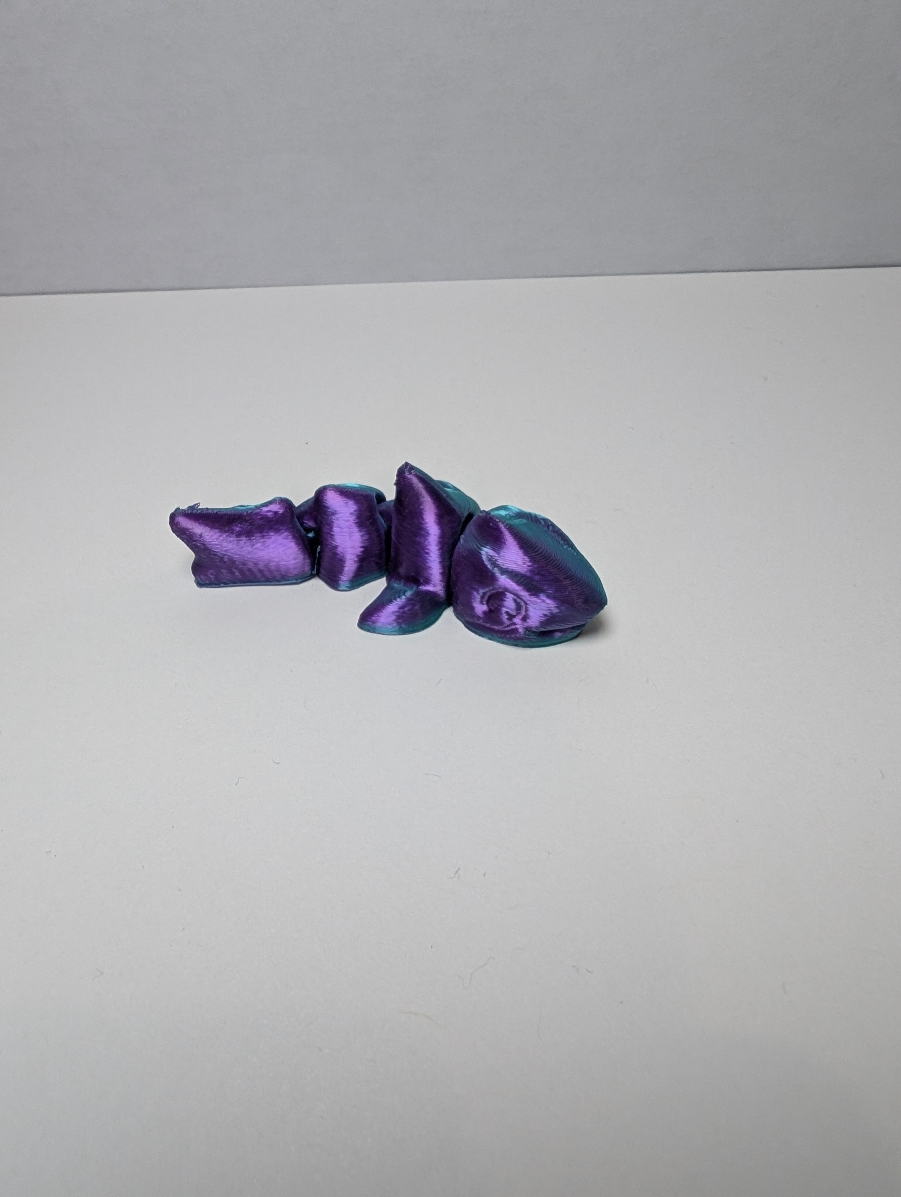 Hugo the Holo-Shark – The Friendliest Predator in the Ocean