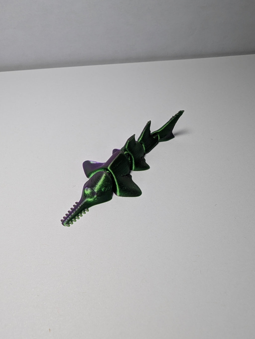 The Mystic Silk Sawfish – The Sharpest Swimmer in the Sea