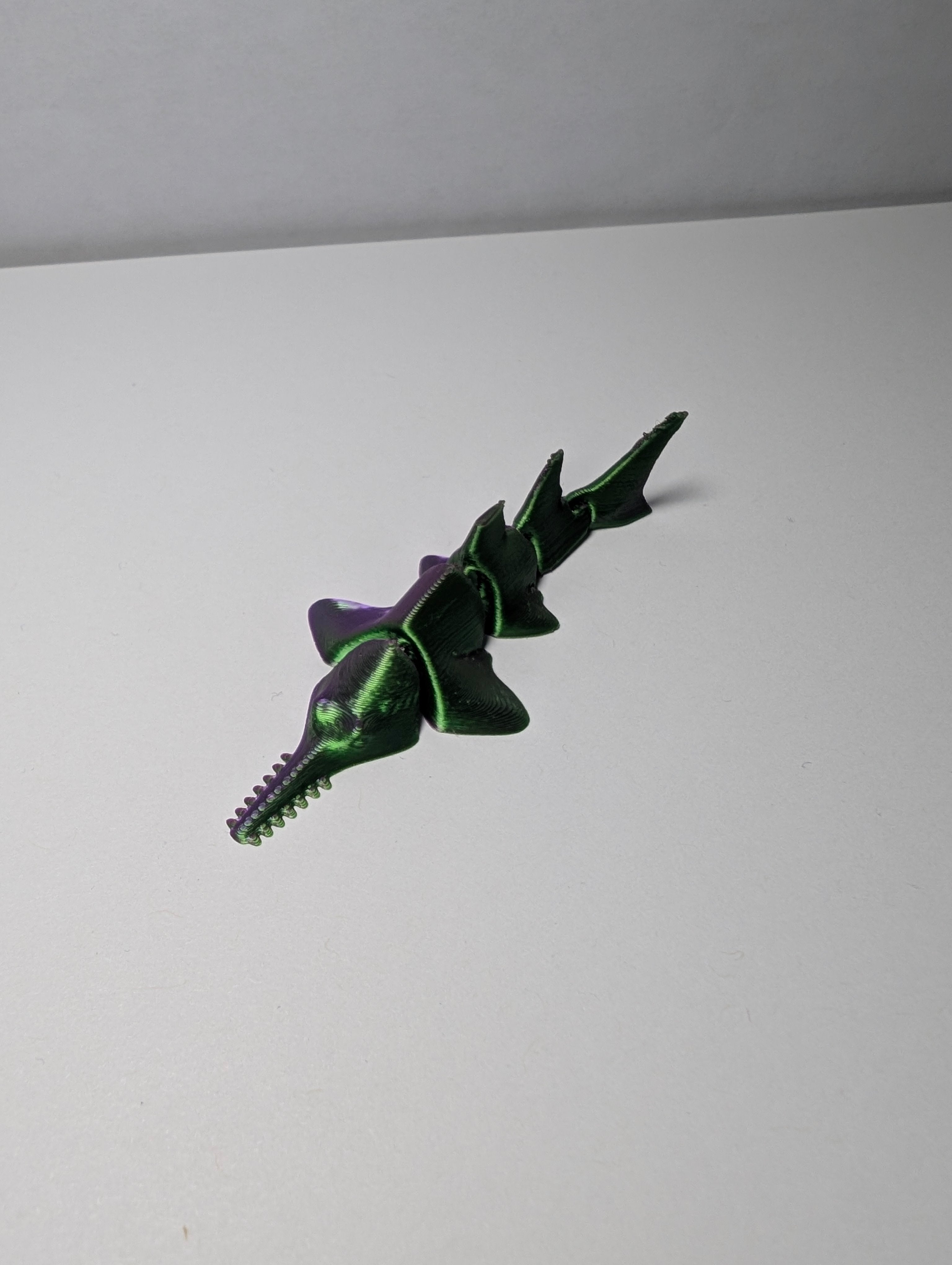 The Mystic Silk Sawfish – The Sharpest Swimmer in the Sea