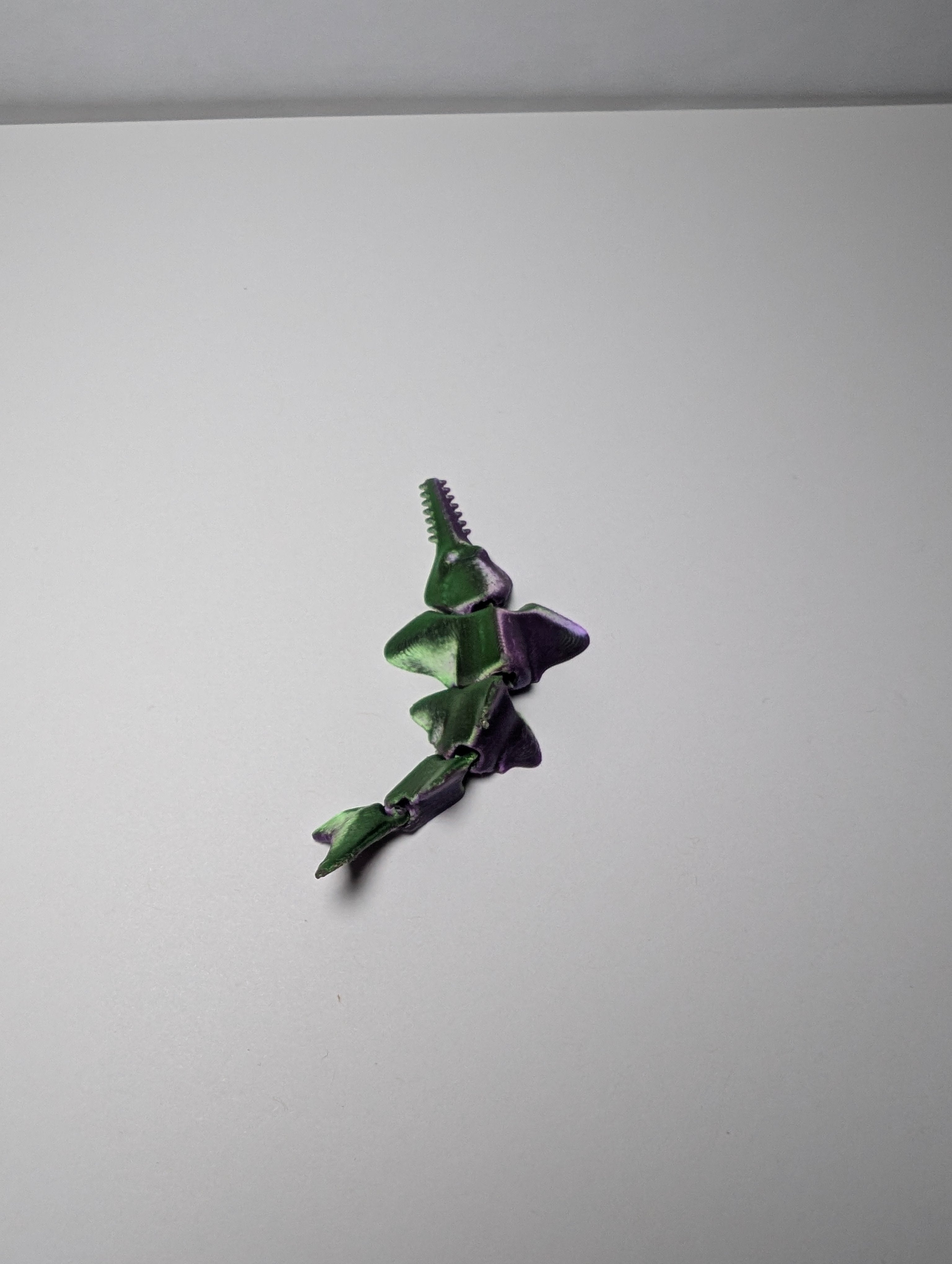 The Mystic Silk Sawfish – The Sharpest Swimmer in the Sea