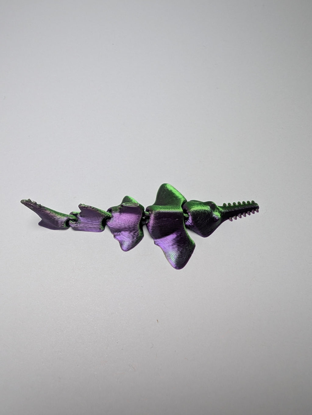 The Mystic Silk Sawfish – The Sharpest Swimmer in the Sea