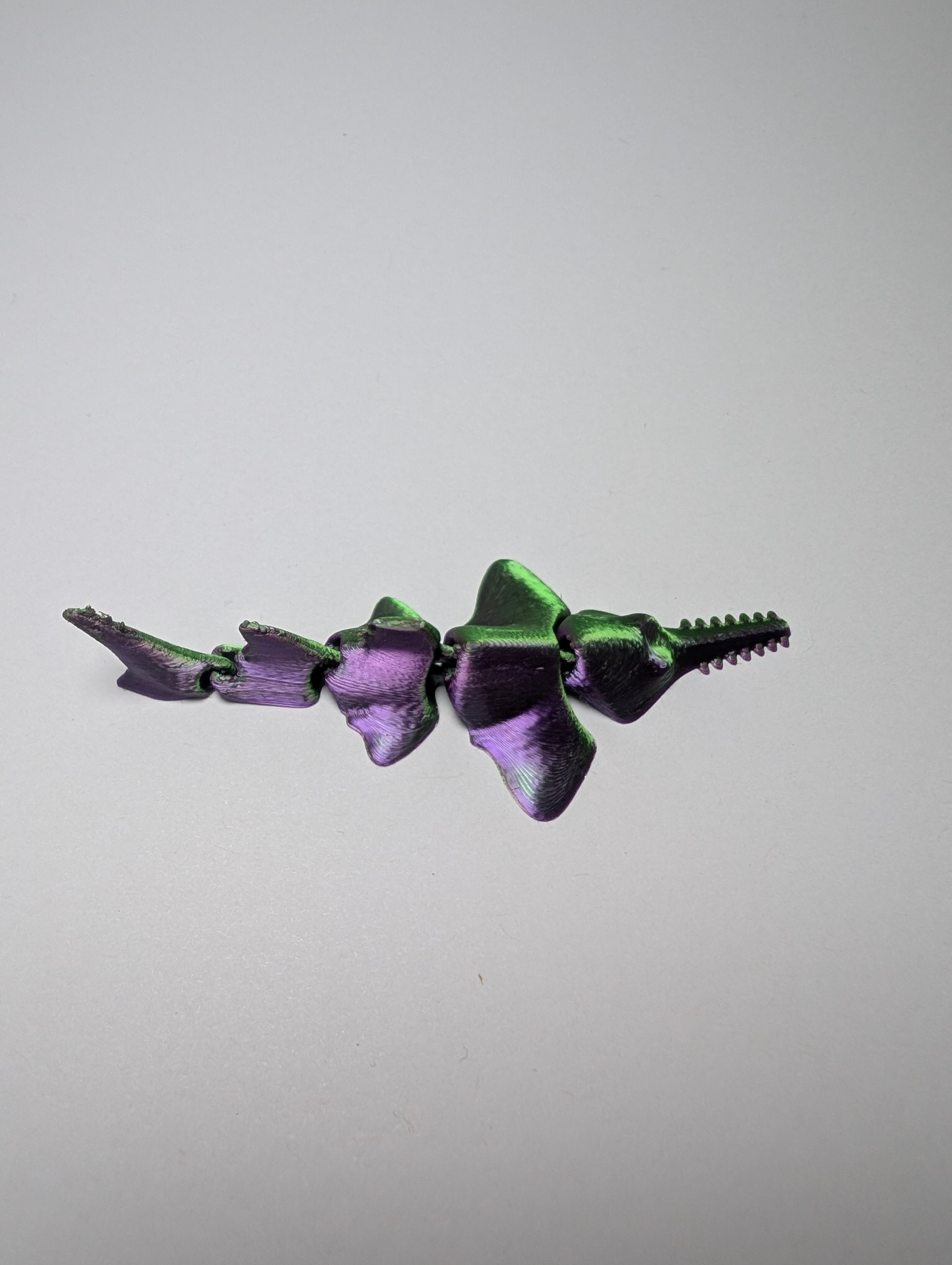 The Mystic Silk Sawfish – The Sharpest Swimmer in the Sea