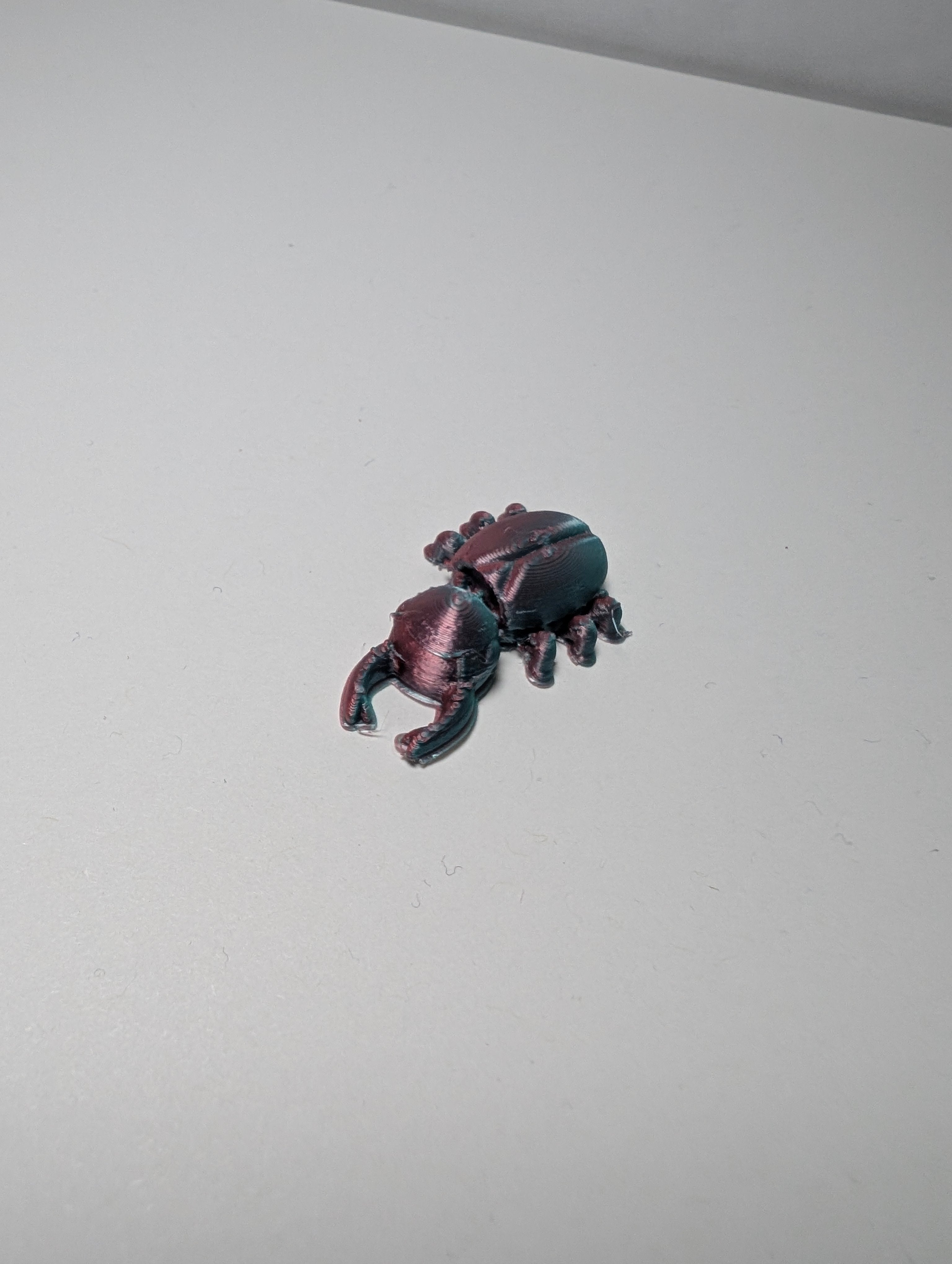 The Burnished Stag Beetle – The Heavy Lifter of the Bug World