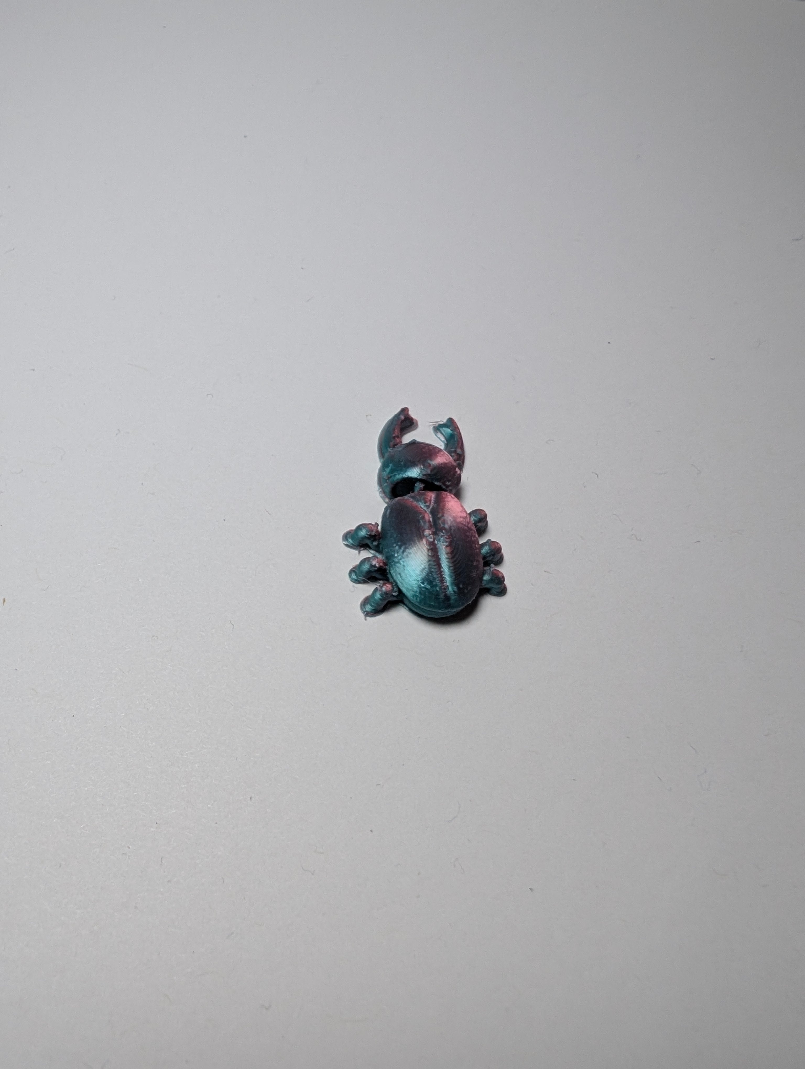 The Burnished Stag Beetle – The Heavy Lifter of the Bug World