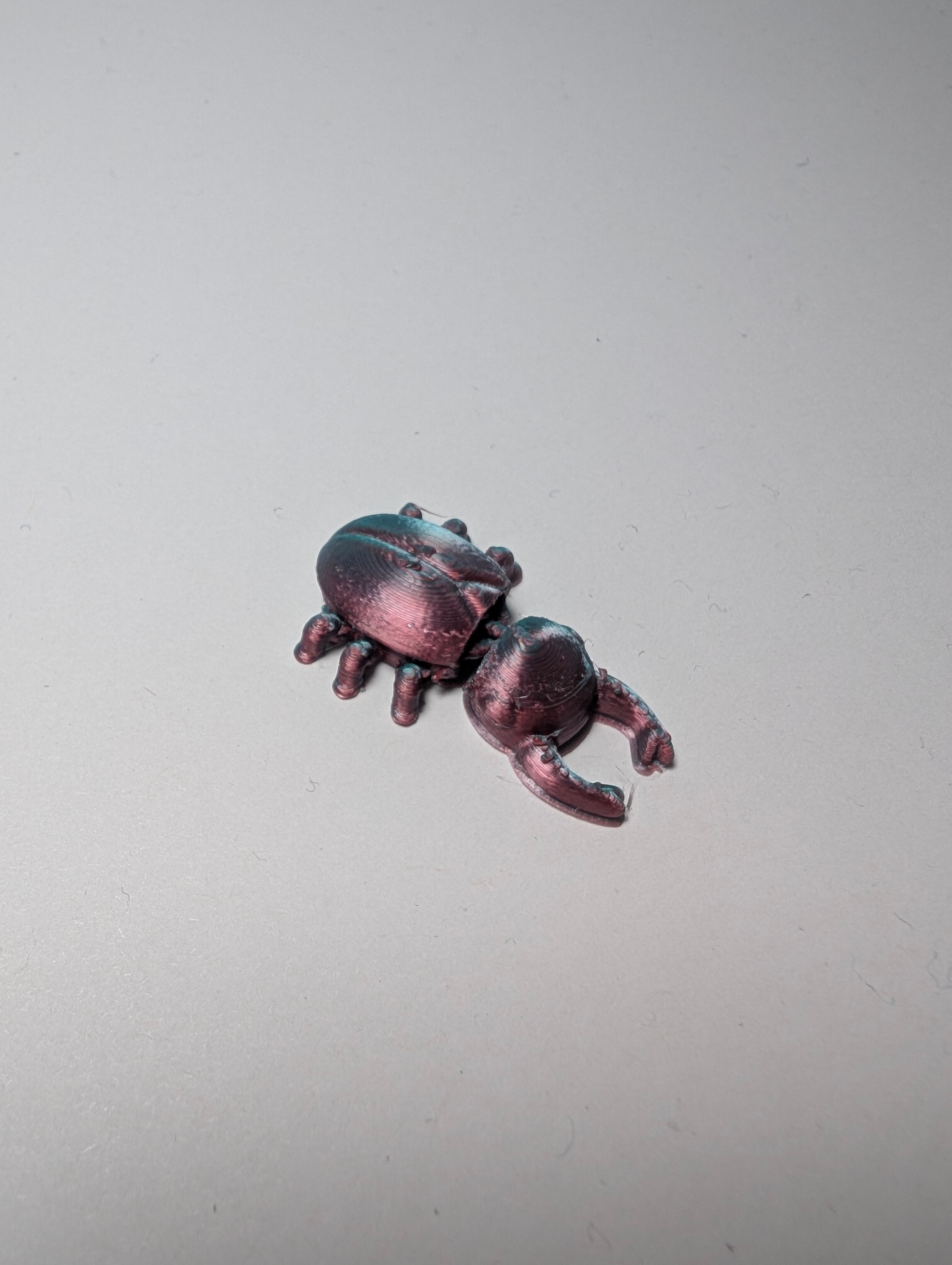 The Burnished Stag Beetle – The Heavy Lifter of the Bug World